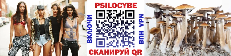 Псилоцибиновые грибы Cubensis  Купить закладки  Тольятти 